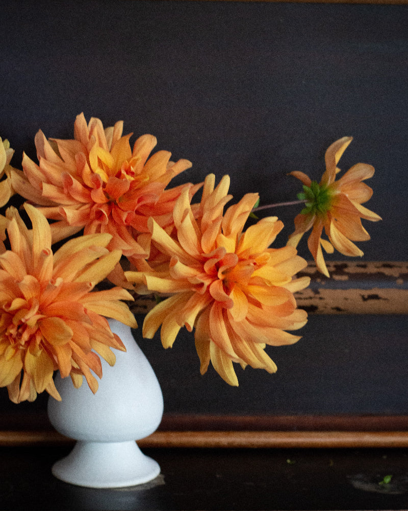 Andrew Charles - Image 3